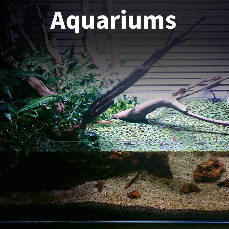 Aquarium Equipment List