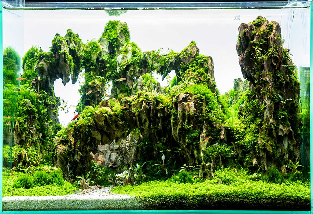 Dragon Stone Aquascape 101: The Powerful Mystical Stone!