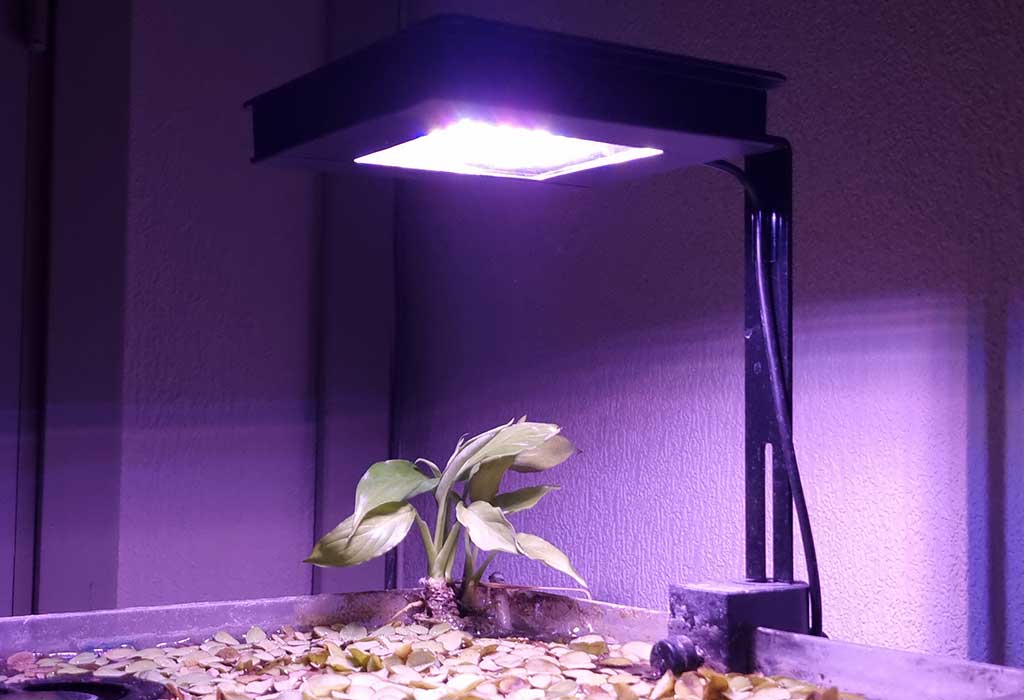 Mounted Fluval Plant 3.0 Nano LED Light in an Aquarium